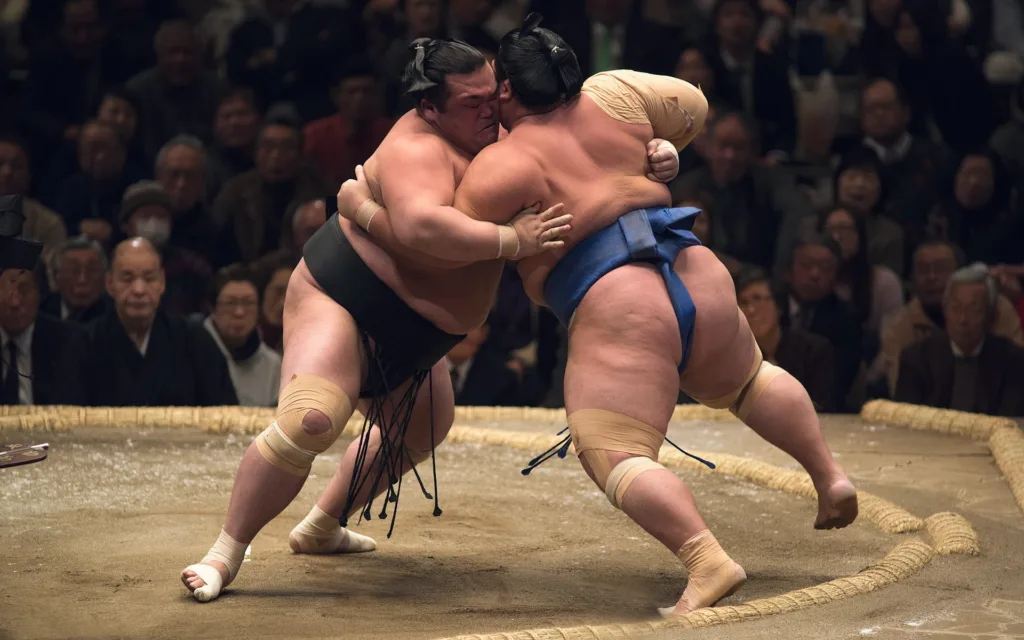 sumo-image